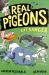 Real Pigeons Eat Danger