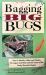 Bagging Big Bugs : How to Identify, Collect and Display the Largest and Most Colorful Insects of the Rocky Mountain Region