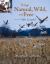 Things, Natural, Wild, and Free : The Life of Aldo Leapold