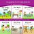 Charge into Reading Word-Ending Spelling Pattern Decodable Reader Set