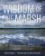 Wisdom of the Marsh : Modeling Restoration in the Montezuma Wetlands