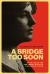 A Bridge Too Soon : ?Afifa Karam and the Arabic Novel in the United States