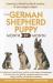 Your German Shepherd Puppy Month by Month