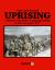 Fire and Sword: Uprising : A Panzer Grenadier Campaign Study