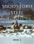 Snowstorm of Steel : A Panzer Grenadier Scenario Book