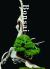 Bonsai : Reprint Edition