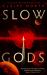 Slow Gods : A Space Opera of Breathtaking Imagination from the Most Original Voice in Speculative Fiction Slow Gods : A Space Opera of Breathtaking Imagination from the Most Original Voice in Speculative Fiction