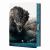The Fury of the Gods : The Epic Conclusion to the New York Times Bestselling Bloodsworn Saga