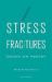 Stress Fractures : Essays on Poetry