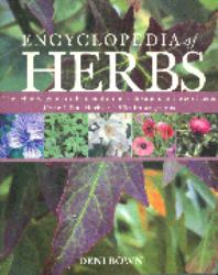 Encyclopedia of Herbs : The Definitive Guide to the Identification, Cultivation and Uses of Herbs