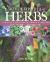 Encyclopedia of Herbs : The Definitive Guide to the Identification, Cultivation and Uses of Herbs