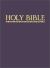 Fireside Catholic Youth Bible