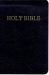 Holy Bible : Catholic Companion Edition