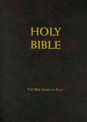 School and Church Bible-Nab