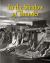 In the Shadow of Thunder : History of the City of Niagara Falls, New York
