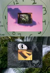 Michael Auder : Stories, Myths, Ironies, and Other Songs: Conceived, Directed, Edited, and Produced by M. Auder