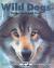 Wild Dogs : Wolves, Coyotes, and Foxes