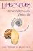 Lifecycles : Reincarnation and the Web of Life