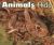 Animals Hide Animals Hide