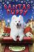 Santa's Puppy : A Christmas Holiday Book for Kids