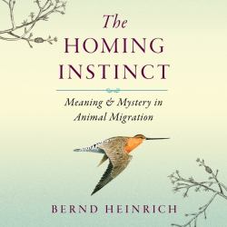 The Homing Instinct : Meaning and Mystery in Animal Migration