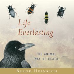 Life Everlasting : The Animal Way of Death