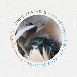 White Feathers : The Nesting Lives of Tree Swallows