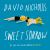 Sweet Sorrow : The Long-Awaited New Novel from the Best-selling Author of ONE DAY