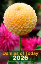 Dahlias of Today 2026