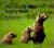 The Grizzly Bear Family Book The Grizzly Bear Family Book