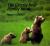 The Grizzly Bear Family Book The Grizzly Bear Family Book