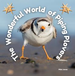 The Wonderful World of Piping Plovers : Interesting Facts about Piping Plovers