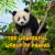 The Wonderful World of Pandas : Interesting Facts about Pandas
