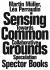 Sensing Common Grounds : Towards Collaborative Speculation