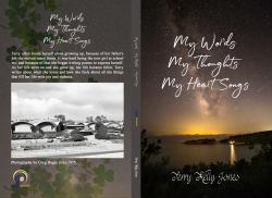 The Insidious Dr. Fu-Manchu Illustrated