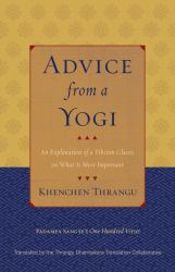 Advice from a Yogi : An Explanation of a Tibetan Classic on What Is Most Important
