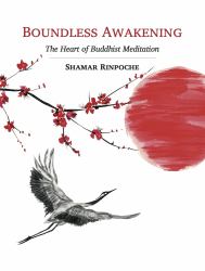 Boundless Awakening : The Heart of Buddhist Meditation