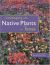 Landscaping with Native Plants of Texas