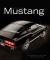 Art of the Mustang