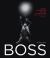 Boss : Bruce Springsteen and the e Street Band - the Illustrated History