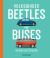 Volkswagen Beetles and Buses : Smaller and Smarter