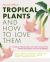 Tropical Plants and How to Love Them : Building a Relationship with Heat-Loving Plants When You Don't Live in the Tropics - Angel's Trumpets - Lemongrass - Elephant Ears - Red Bananas - Fiddle Leaf Figs - Gingers - Hibiscus - Canna Lilies and More!