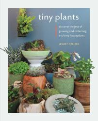 Tiny Plants : Discover the Joys of Growing and Collecting Itty-Bitty Houseplants