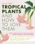 Tropical Plants and How to Love Them : Building a Relationship with Heat-Loving Plants When You Don't Live in the Tropics - Angel's Trumpets - Lemongrass - Elephant Ears - Red Bananas - Fiddle Leaf Figs - Gingers - Hibiscus - Canna Lilies and More!