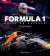Formula 1 Drive to Survive the Unofficial Companion : The Stars, Strategy, Technology, and History of F1