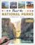 Paint the National Parks : A Watercolor Journey - Includes Traceable Templates and Video Tutorials