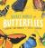 Secret World of Butterflies