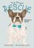 The Great Rescue - Grayson's Story The Great Rescue - Grayson's Story
