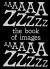 The Book of Images an Illustrated Dictionary of Visual Experiences from a to Z
