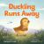 Duckling Runs Away Duckling Runs Away